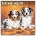 Australian Shepherd - Australische Schäferhunde 2025 - 16-Monatskalender - Avonside Publishing Ltd