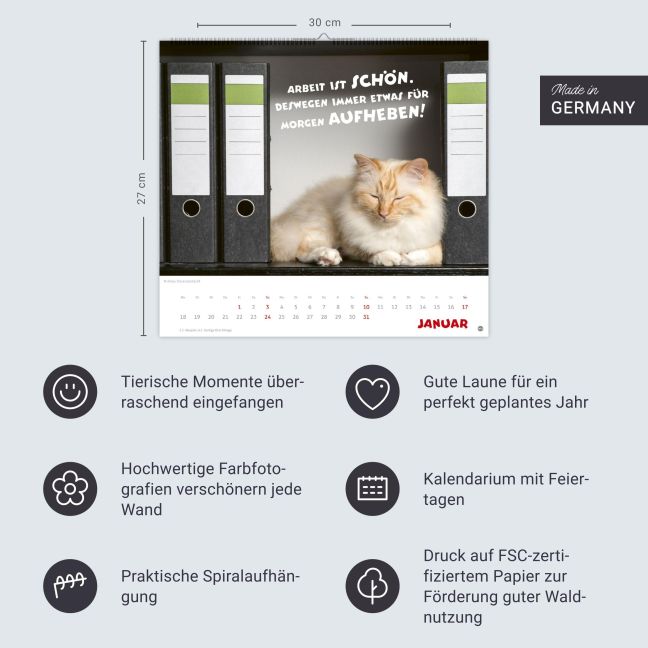 InsideView 13