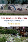 Slow Harms and Citizen Action - Veronica Herrera
