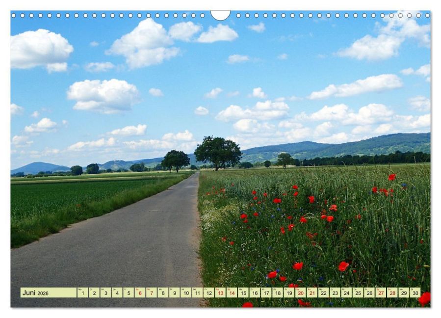 InsideView 11
