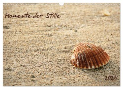 Cover-Bild zum Titel 'Momente der Stille (Wandkalender 2026 DIN A3 quer), CALVENDO Monatskalender' von 'Lucy L!U'