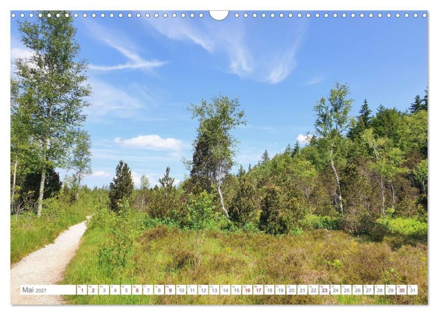 InsideView 10