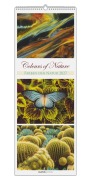 Cover-Bild zum Titel 'Colours of Nature - Triplets 2027' von ''