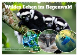 Cover-Bild zum Titel 'Wildes Leben im Regenwald (Wandkalender 2026 DIN A3 quer), CALVENDO Monatskalender' von 'Melanie Viola'
