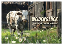 Cover-Bild zum Titel 'Weidenglück: Ein Jahr unter Kühen (Wandkalender 2026 DIN A2 quer), CALVENDO Monatskalender' von 'Peter R. Stuhlmann'
