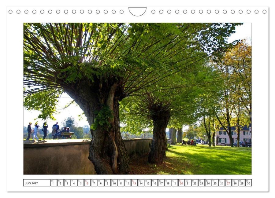 InsideView 11