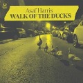 Cover-Bild zum Titel 'Walk of The Ducks' von 'Asaf Harris'