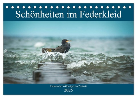 Schönheiten im Federkleid - Heimische Wildvögel im Portrait (Tischkalender 2025 DIN A5 quer), CALVENDO Monatskalender - Sabine Grahneis