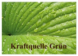 Kraftquelle Grün (Wandkalender 2025 DIN A2 quer), CALVENDO Monatskalender - Ilona Andersen