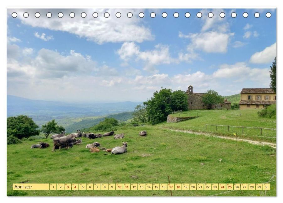InsideView 9