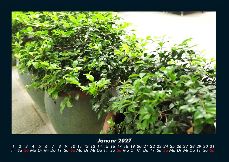 InsideView 5