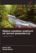 Cover-Bild zum Titel 'Wp¿yw zasobów wodnych na wzrost gospodarczy' von 'Asma Zidi, Sayef Bakari'