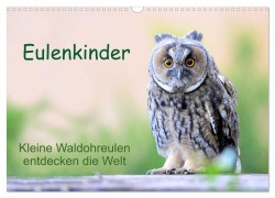 Cover-Bild zum Titel 'Eulenkinder - Kleine Waldohreulen entdecken die Welt (Wandkalender 2026 DIN A3 quer), CALVENDO Monatskalender' von 'Carolin Müller'