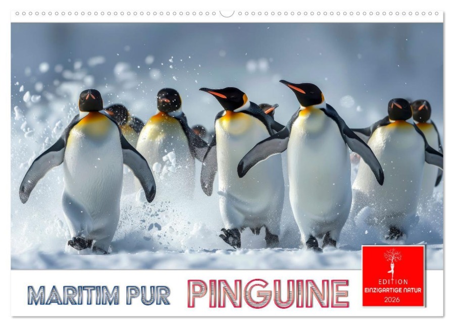 Maritim pur - Pinguine (Wandkalender 2026 DIN A2 quer), CALVENDO Monatskalender - Peter Roder