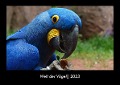 Welt der Vögel 2023 Fotokalender DIN A3 - Tobias Becker