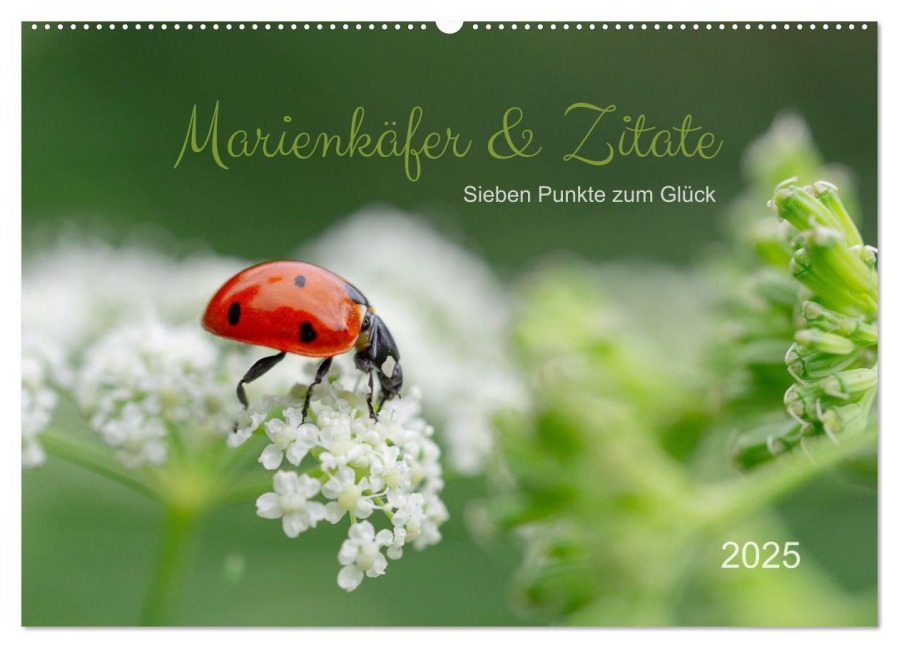 Marienkäfer & Zitate - Sieben Punkte zum Glück (Wandkalender 2025 DIN A2 quer), CALVENDO Monatskalender - Edith Nero Photography