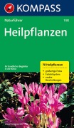 Cover-Bild zum Titel 'KOMPASS Naturführer Heilpflanzen' von 'Christine Jaitner'