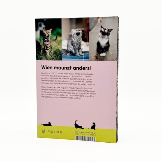 InsideView 2