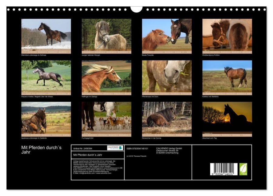 InsideView 5