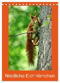 Niedliche Eichhörnchen (Tischkalender 2025 DIN A5 hoch), CALVENDO Monatskalender - Kattobello Kattobello