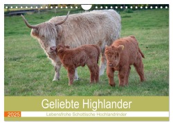 Geliebte Highlander (Wandkalender 2025 DIN A4 quer), CALVENDO Monatskalender - Marion Sixt