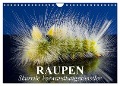 Raupen - Skurrile Verwandlungskünstler (Wandkalender 2024 DIN A4 quer), CALVENDO Monatskalender - Elisabeth Stanzer