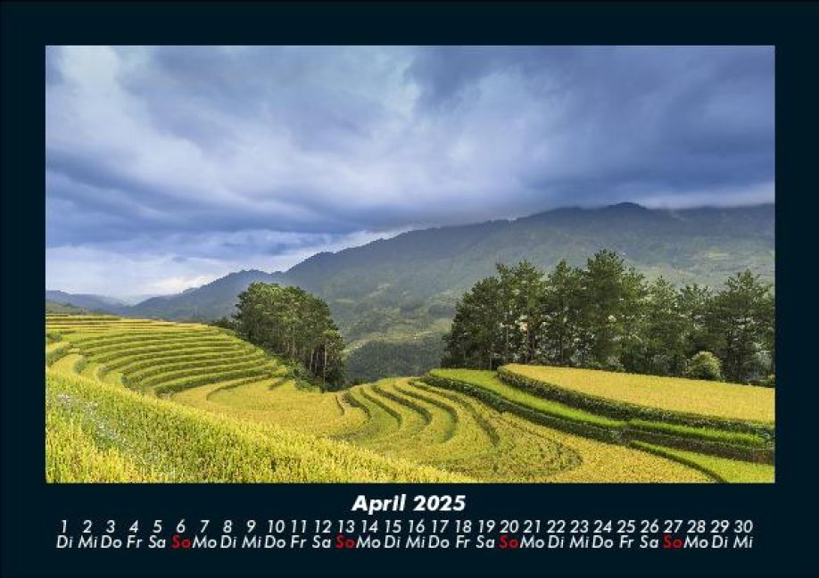 InsideView 8