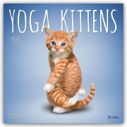 Cover-Bild zum Titel 'Yoga Kittens - Kätzchen Yoga 2027 - 16-Monatskalender' von 'Browntrout Publishers'