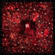 Cover-Bild zum Titel 'Hen's Teeth' von 'Iron And Wine'