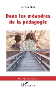 Cover-Bild zum Titel 'Dans les méandres de la pédagogie' von 'Chaib'