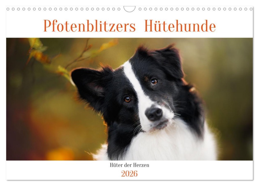 Pfotenblitzers Hütehunde - Hüter der Herzen (Wandkalender 2026 DIN A3 quer), CALVENDO Monatskalender - Pfotenblitzer Tierfotografie