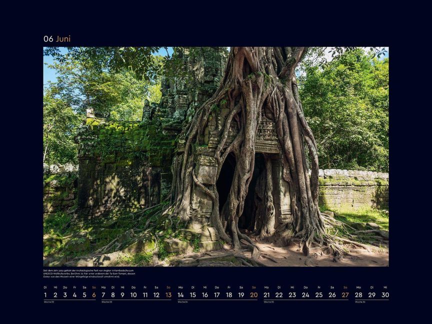 InsideView 10
