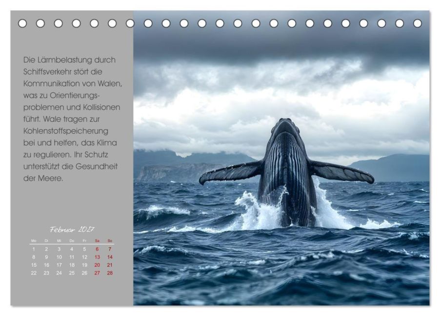 InsideView 7