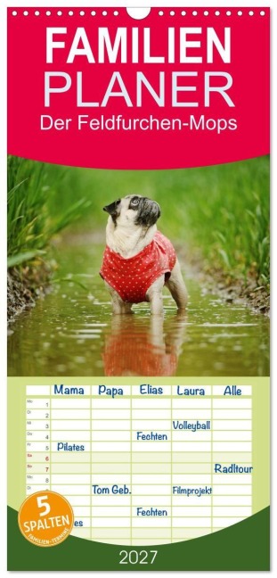 Familienplaner 2027 - Der Feldfurchen-Mops mit 5 Spalten (Wandkalender, 21 x 45 cm) CALVENDO - Kathrin Köntopp