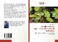 Cover-Bild zum Titel 'Biodiversité des amphibiens des mares de la Dombes' von 'Kévin Bergeron'