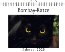 Bombay-Katze - Elias Herrmann