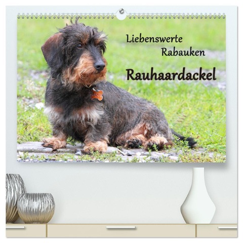 Liebenswerte Rabauken Rauhaardackel / CH-Version (hochwertiger Premium Wandkalender 2024 DIN A2 quer), Kunstdruck in Hochglanz - Barbara Mielewczyk