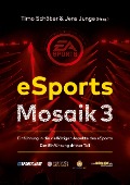 eSports Mosaik 3 - Timo Schöber