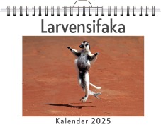 Cover-Bild zum Titel 'Larvensifaka' von 'Lucas Schmitt'