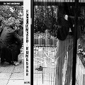 Cover-Bild zum Titel 'Schumanski & Tappers (Teil 2)' von 'Rob Hotson'