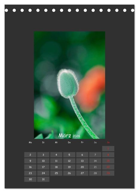 InsideView 8