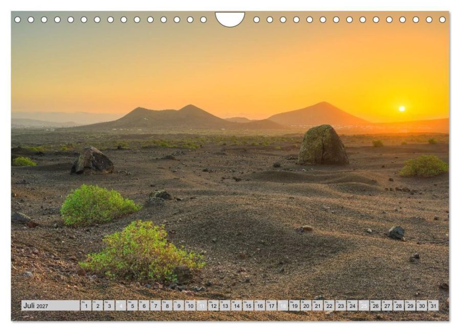 InsideView 12