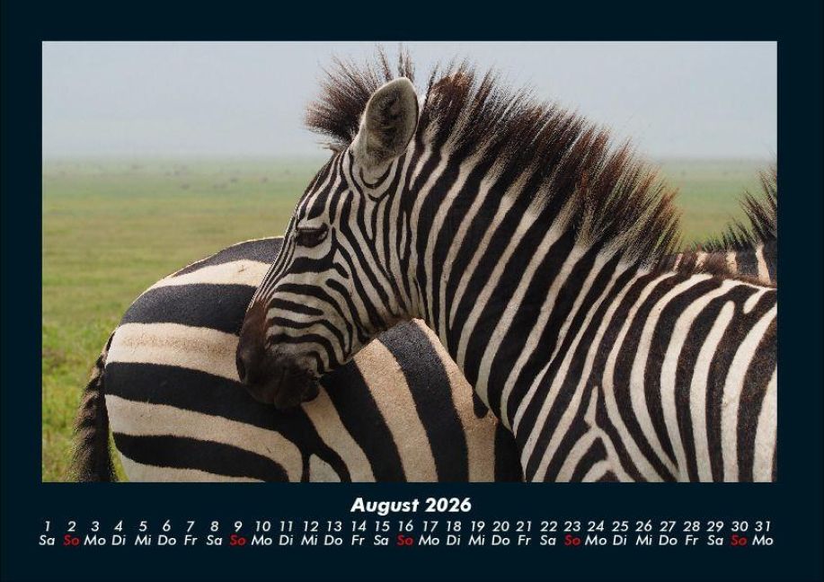 InsideView 12