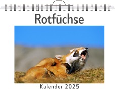 Cover-Bild zum Titel 'Rotfüchse' von 'Luca Schmitt'