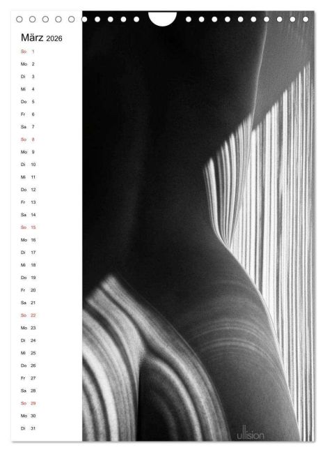 InsideView 8