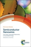 Cover-Bild zum Titel 'Semiconductor Nanowires' von ''