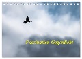 Faszination Gegenlicht (Tischkalender 2024 DIN A5 quer), CALVENDO Monatskalender - Wilfried Martin (GDT)