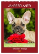 Cover-Bild zum Titel 'Jahresplaner Französische Bulldogge (Wandkalender 2026 DIN A2 hoch), CALVENDO Monatskalender' von 'Sigrid Starick'
