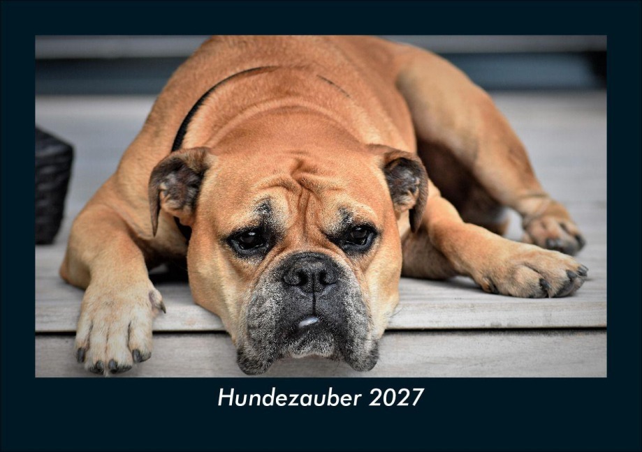 Hundezauber 2027 Fotokalender DIN A5 - Tobias Schmitt, Kevin Heber