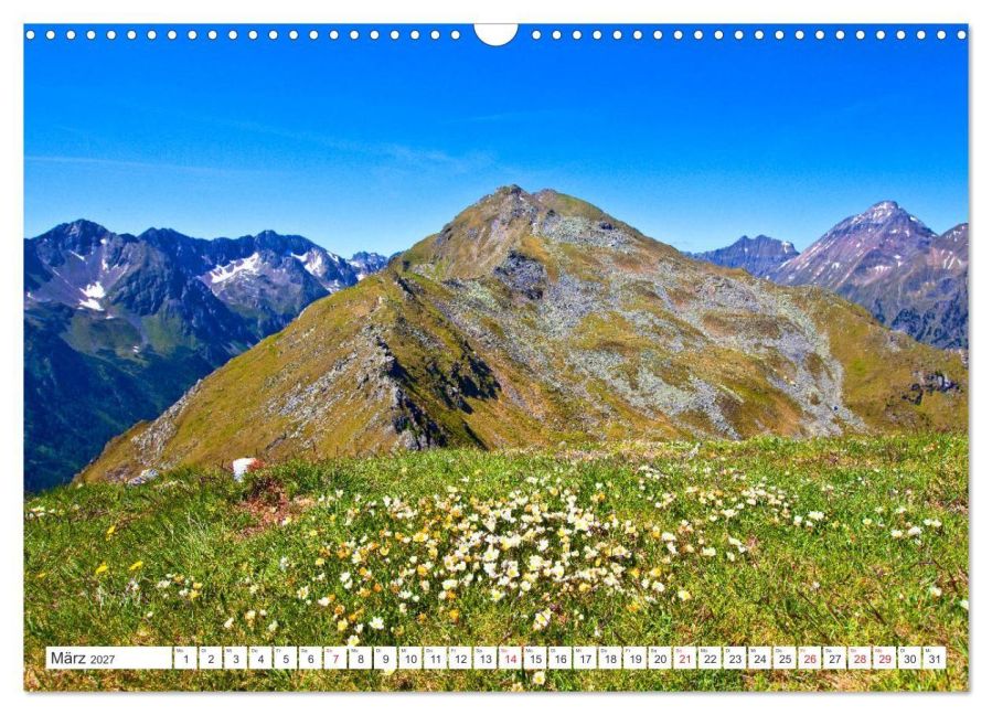 InsideView 8